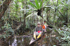Ecuador Sumpf Kanu