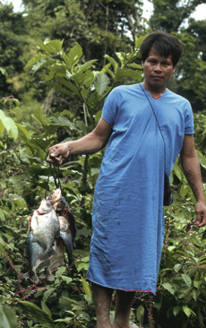 Fischen Amazonas