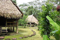 Lodge Urwald Amazonas