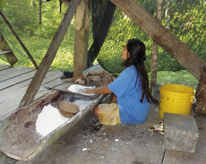 Ecuador Casavebrot Herstellung