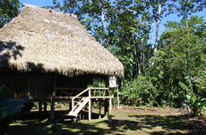 Haus Ecuador Urwald