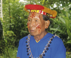 Schamane Amazonas Ecuador